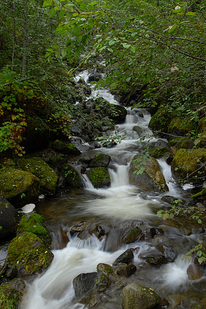 Oregon Cascade
