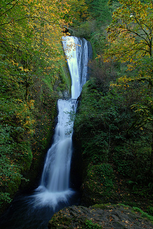 Horse Tail Falls Oregon