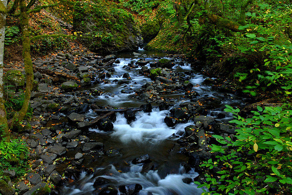 Oregon falls