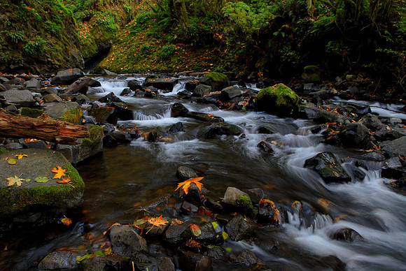 Fall in Oregon